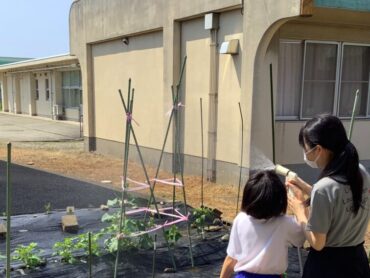 花や野菜の水やり