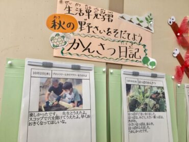 ［小学部］生活単元学習「秋の野菜をそだてよう」